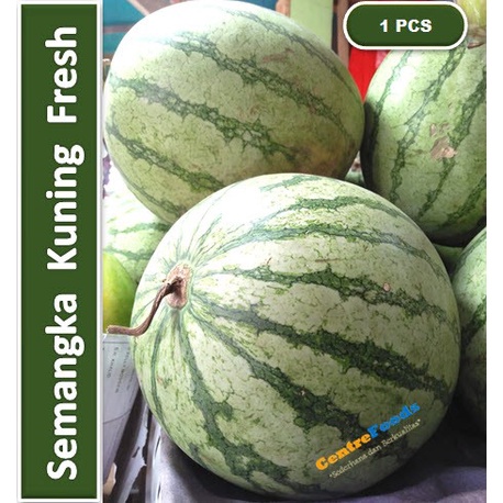 

Buah Semangka - Kuning Non Biji | Size 4-5 kg [ Harga Per PCS ]