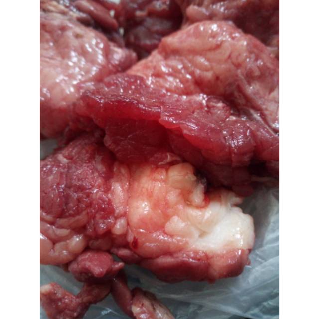 

ANMART | 250gr Tetelan Sapi / Lemak Sapi | Daging Sapi Segar | Sayur Online