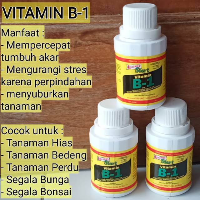 Vitamin Segala Tumbuhan B 1 Indonesia