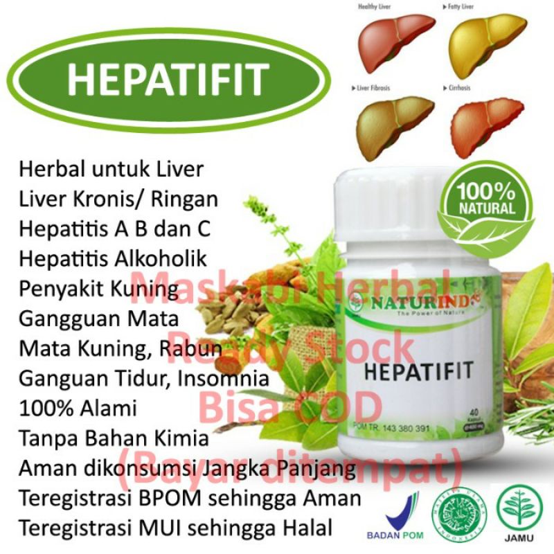 Obat herbal HEPATIFIT menyehatkan organ liver