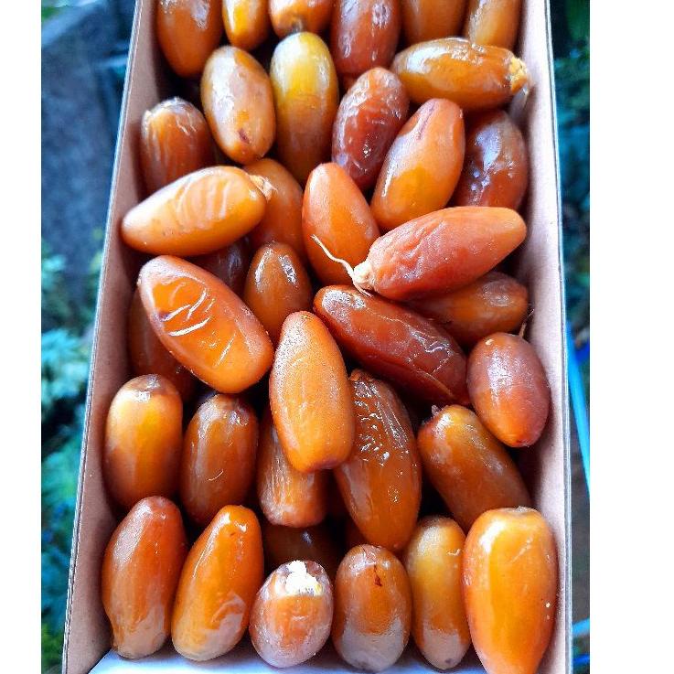

[PRODUK 7ZLR9] kurma muda ruthob promil/kurma muda libya/kurma ruthob muda libya/kurma segar l/kurma ruthob premium 7B9