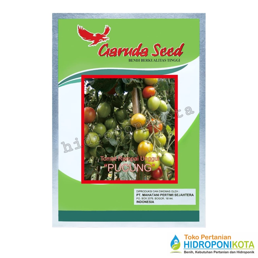 GS - benih TOMAT PUCUNG isi 5 gram - bibit tomat - garuda seed