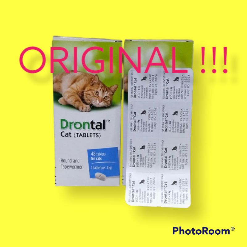 Drontal cat obat cacing