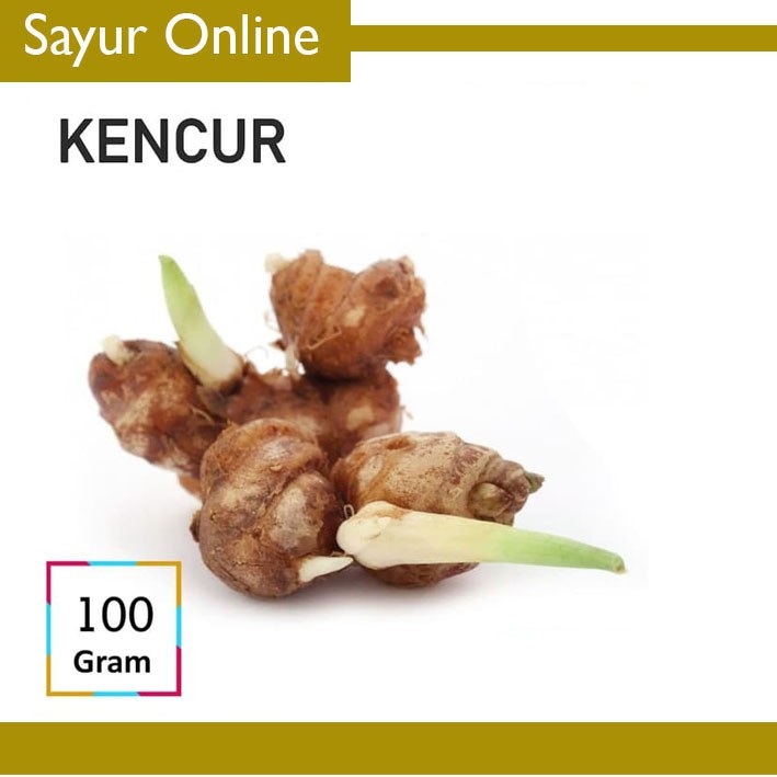 

KENCUR [100g]
