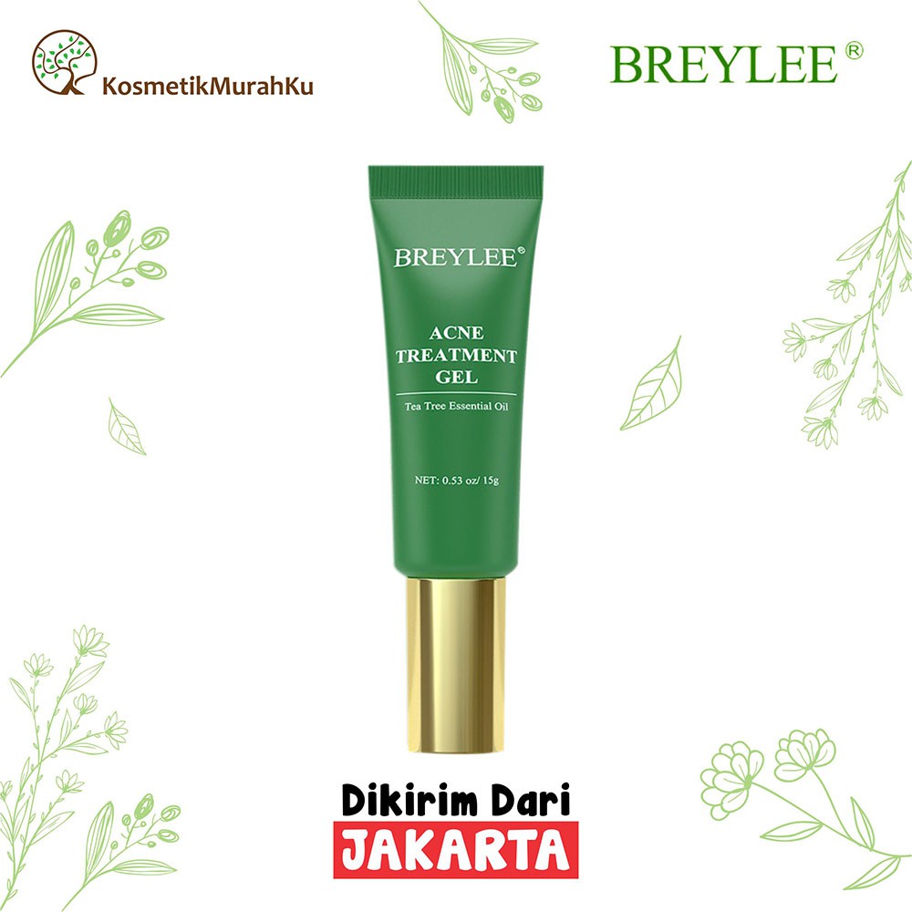 TERMURAH BREYLEE ACNE TREATMENT GEL 15GR | BY1428