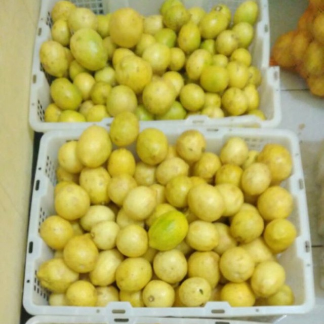 Jeruk lemon lokal 1kg
