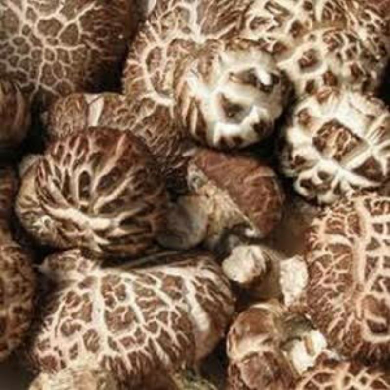 

shitake super 500gr