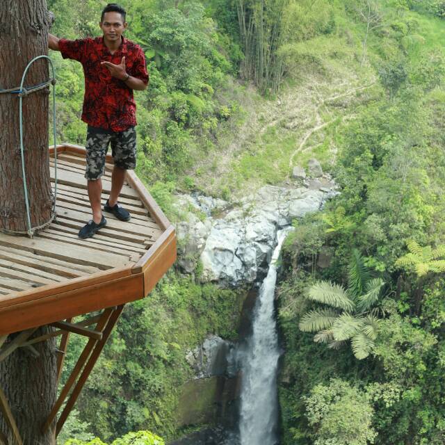 arieslbfbestbreeding