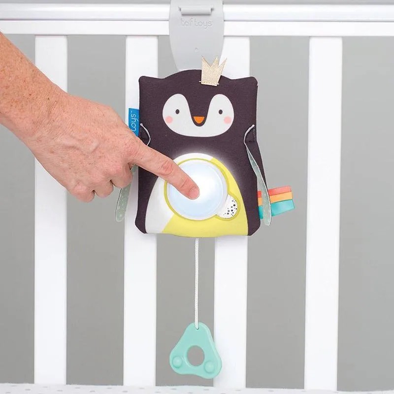 Taf Toys Prince The Penguin Baby Soother