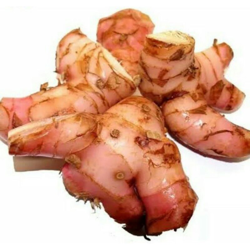 

Lengkuas/laos/laja/250gr