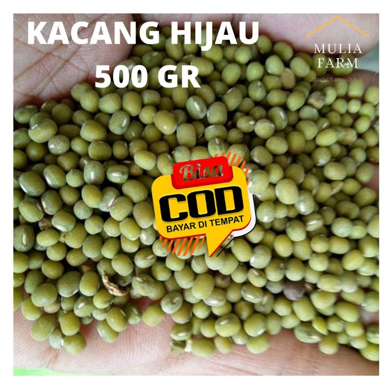 

KACANG HIJAU 500 GR LOKAL ORGANIK
