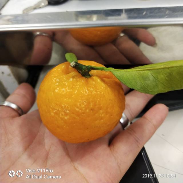 shantypui1234