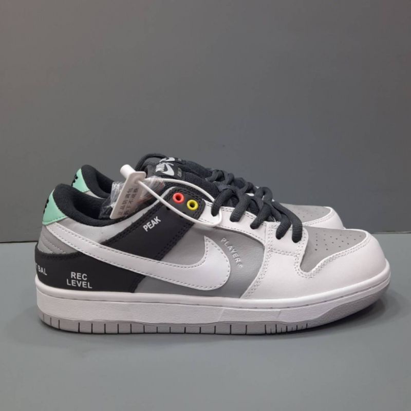 nike sb dunk low vx1000 camcorder