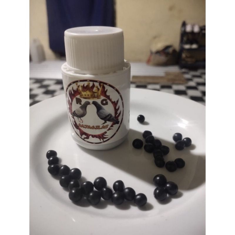 Raja gilas jamu untuk merpati kolong jamu herbal merpati isi 175 butir