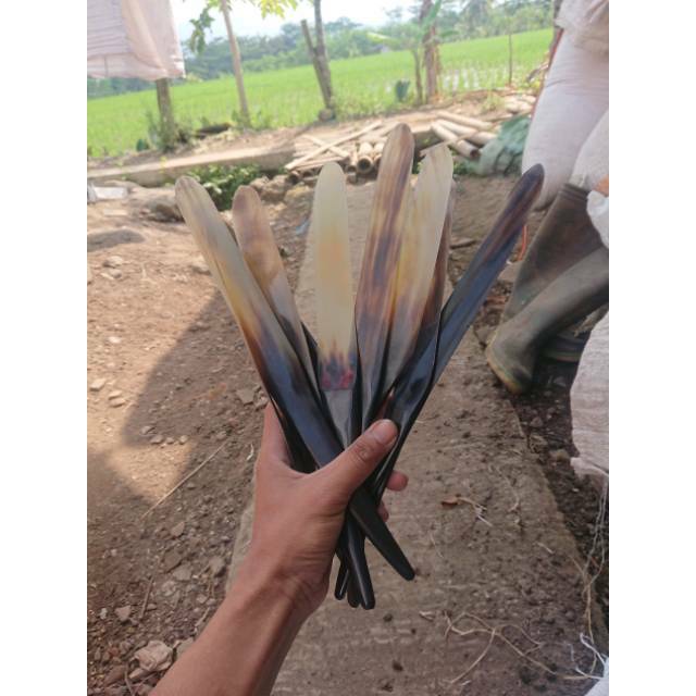 alat untuk membuka kelapa muda