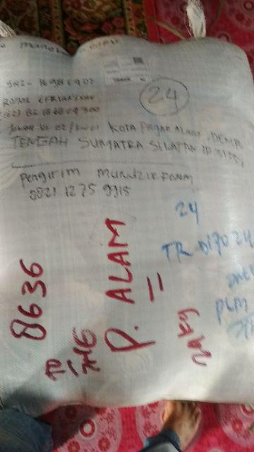 Kasur Inoac Yukata 200x160x30 Garansi 15 Tahun