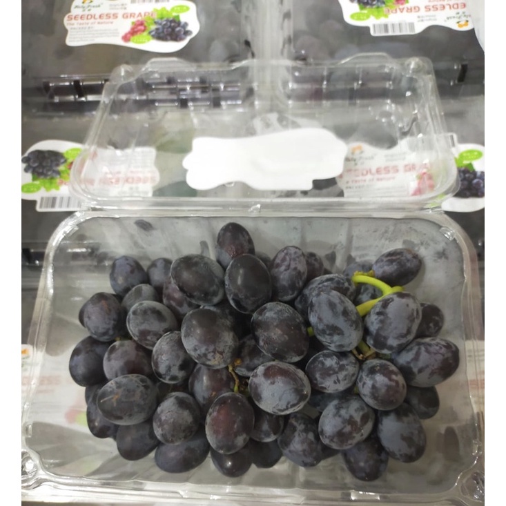 Bibit Anggur Import Jenis Black Autumn Royal Seedless Valid Grafting Asli