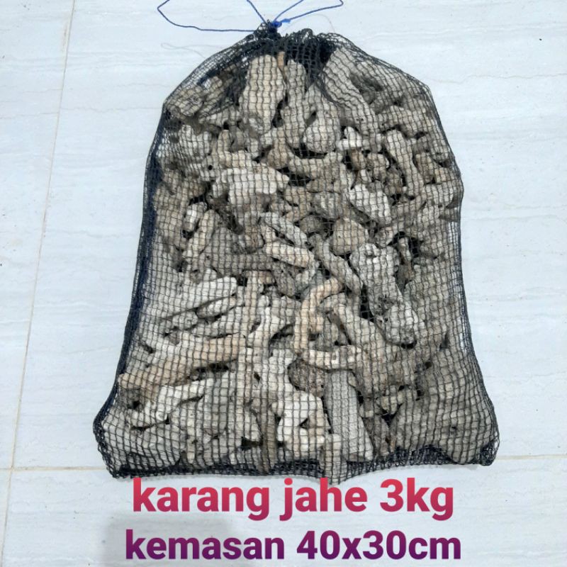 

media filter katang jahe kerang jahe kemasan 3kg