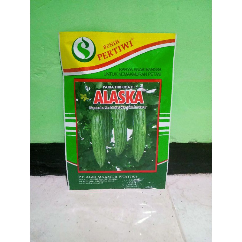 BENIH PARIA PARE HIBRIDA F1 ALASKA-2
