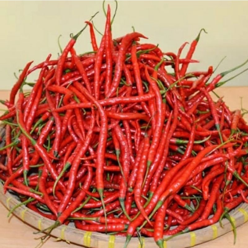 cabai  keriting merah  fresh 500gr