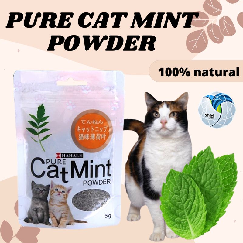 Catmint Catnip Serbuk Kucing 5g Original Mainan Penghilang Stress Kesukaan Kucing