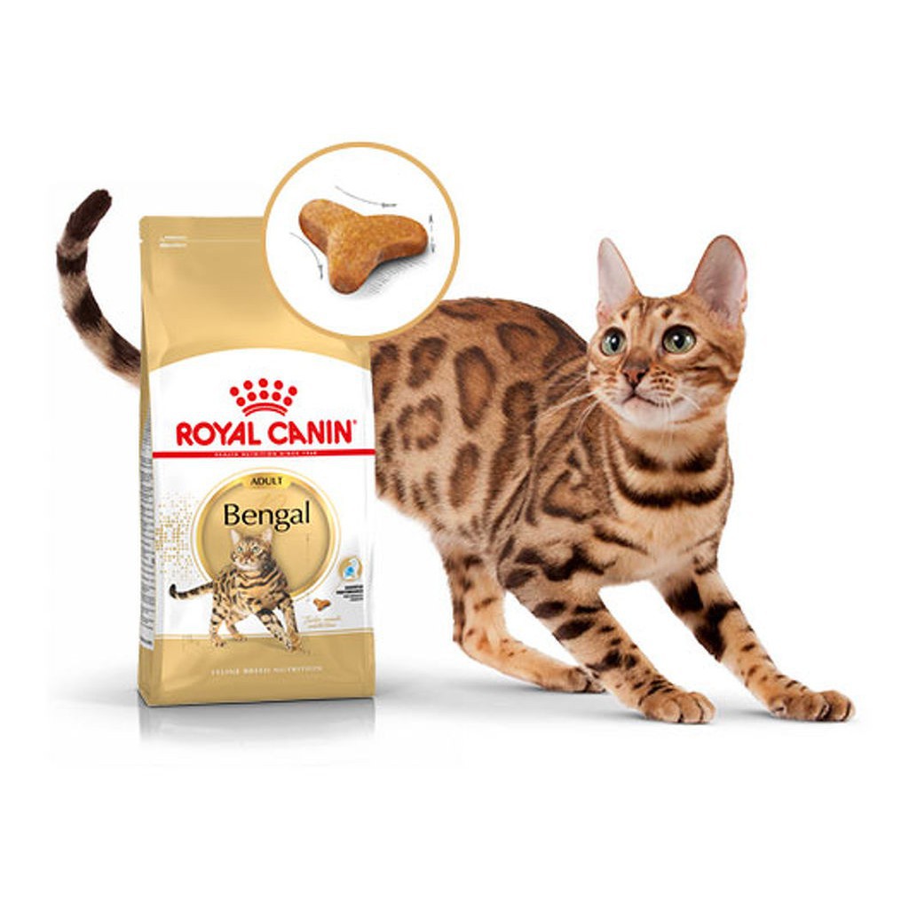 royal canin bengal adult 400gr rc bengal dewasa 400 gr makanan kucing