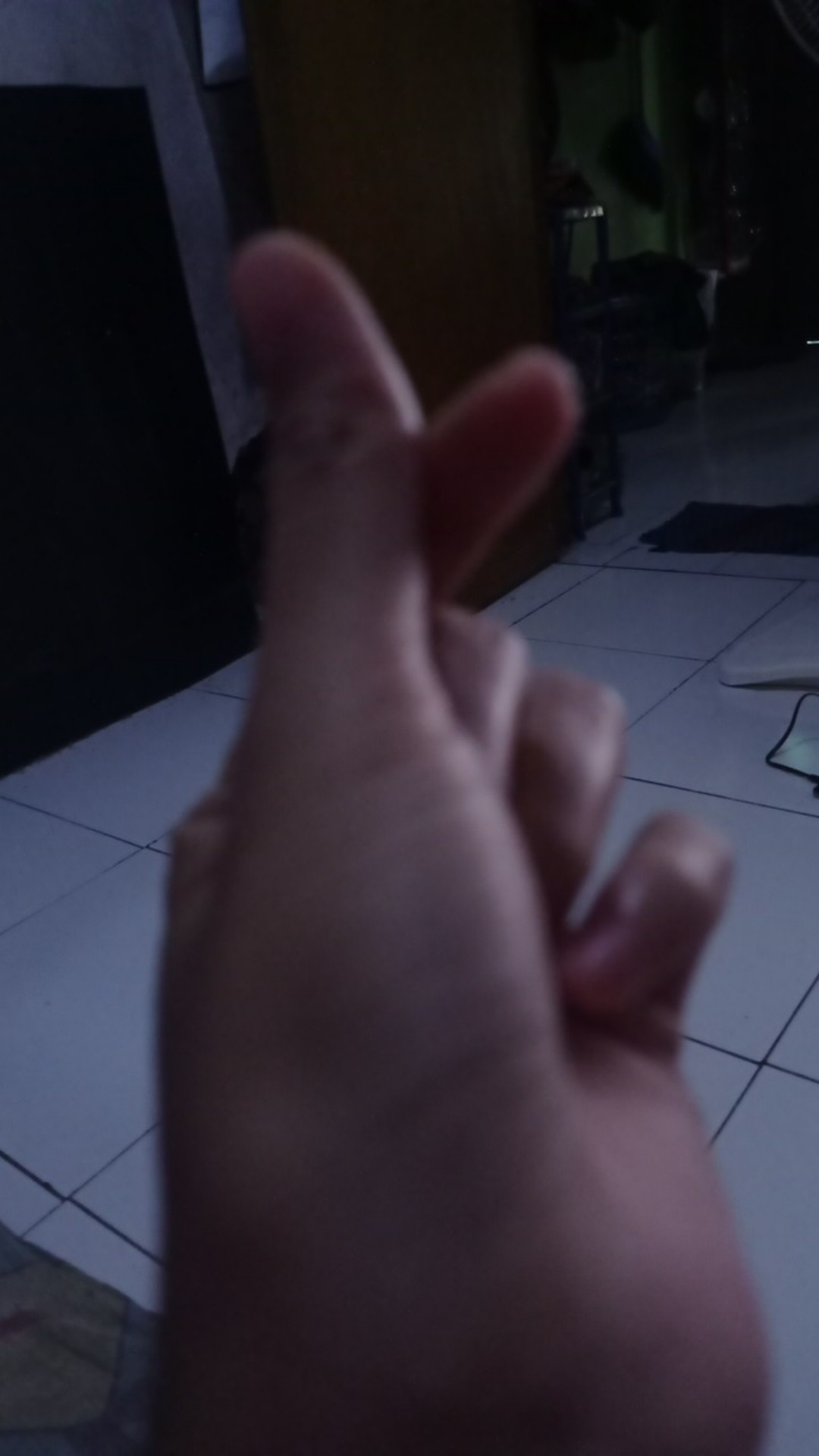 Sprei Bonita Motif Lovely Rose