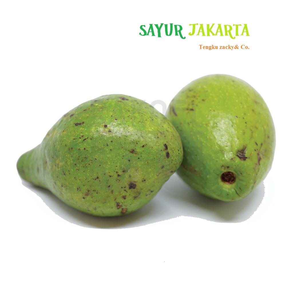 Alpukat Mentega Premium harga  per  buah  Shopee Indonesia
