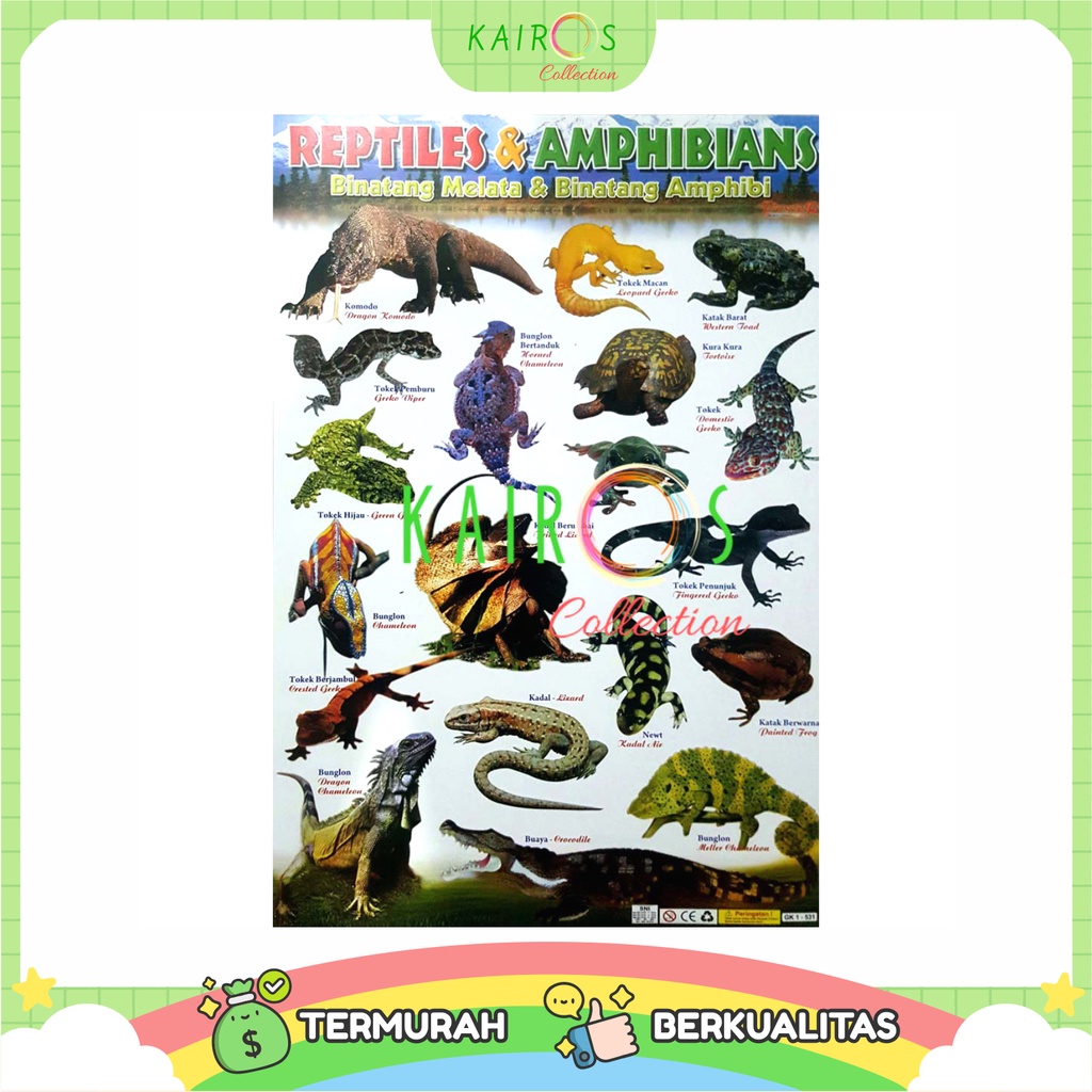 Poster Anak Belajar Binatang Reptil dan Amfibi