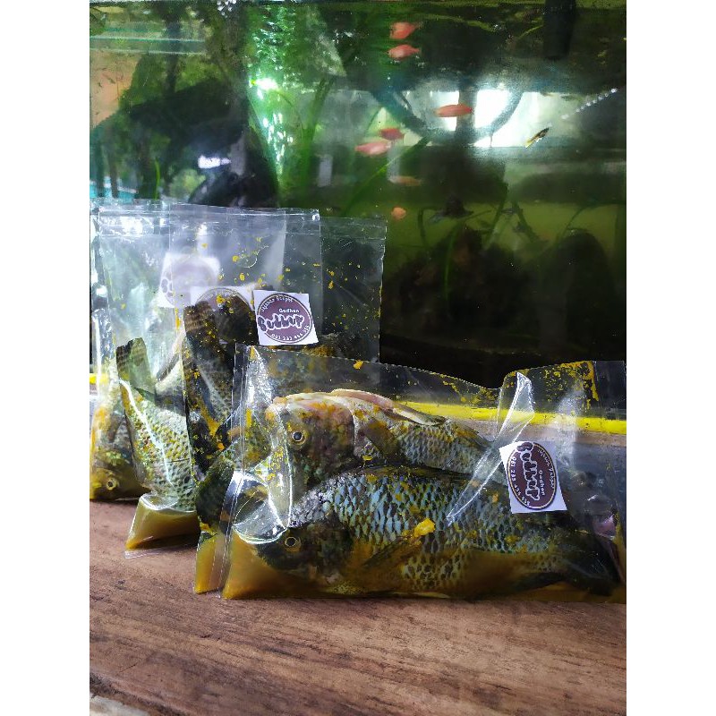 

ikan nila