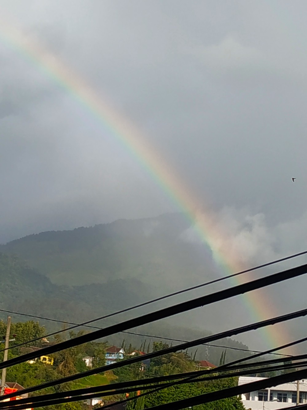 Kotak Tisue Bentuk Desktop Tv Multi Fungsi. Tisue Box Dengan Holder Kardus Warna Biru