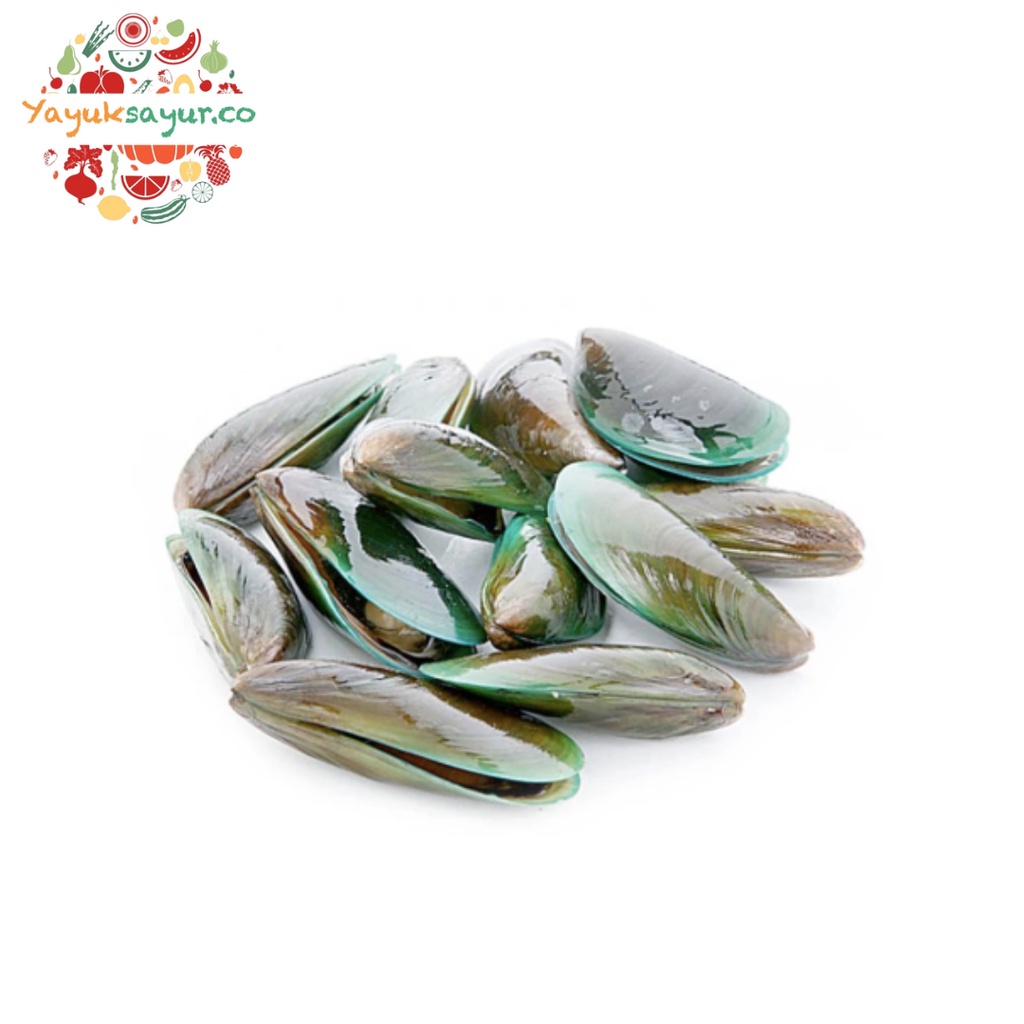 KERANG IJO FRESH