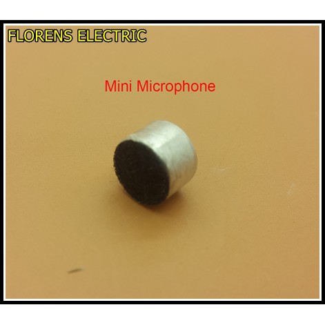 Mini Microphone