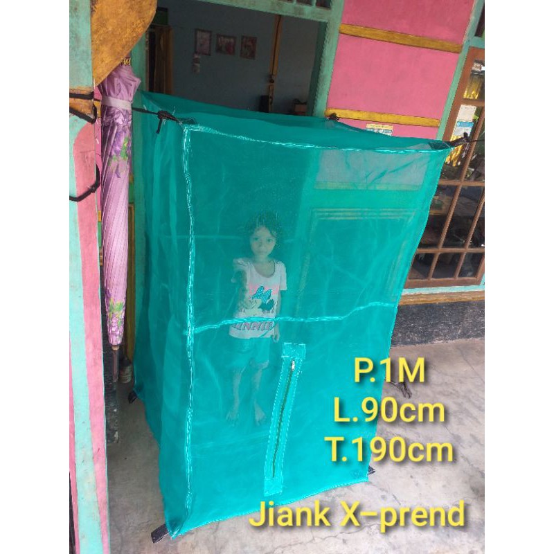 kandang lalat BSF manggot