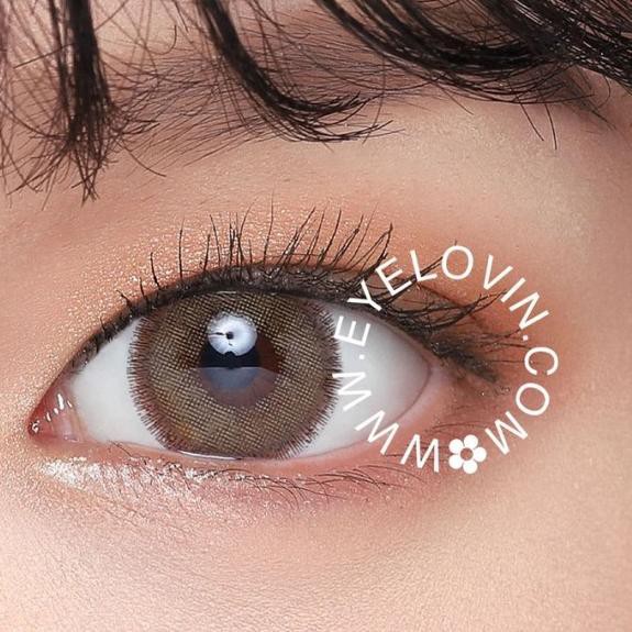 ✶ Softlens Dreamcolor I - Nobluk Brown ۩