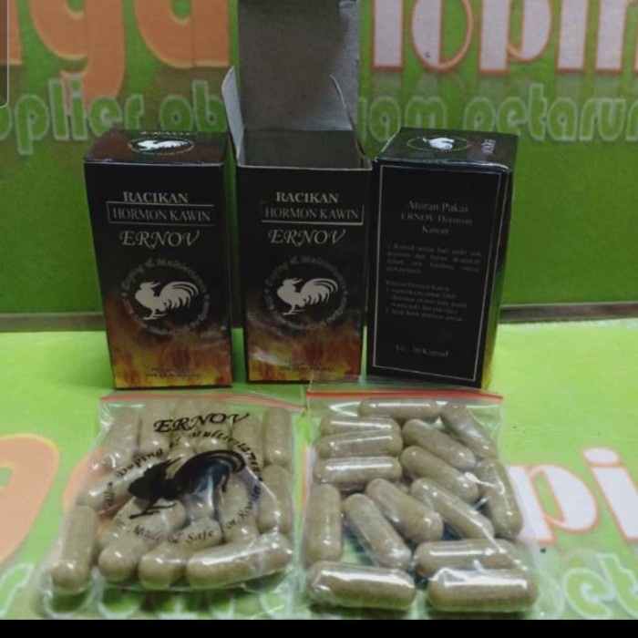 ernov hormon kawin 30cap obat vitamin ayam tarung birahi bibit bermutu ~ hls97