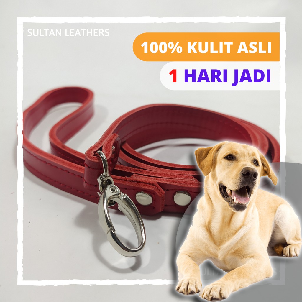 Tali Tuntun Anjing Double Kulit Kulit Asli / Tali Leher Anjing Besar dan Kecil Bonus Cantolan Tali