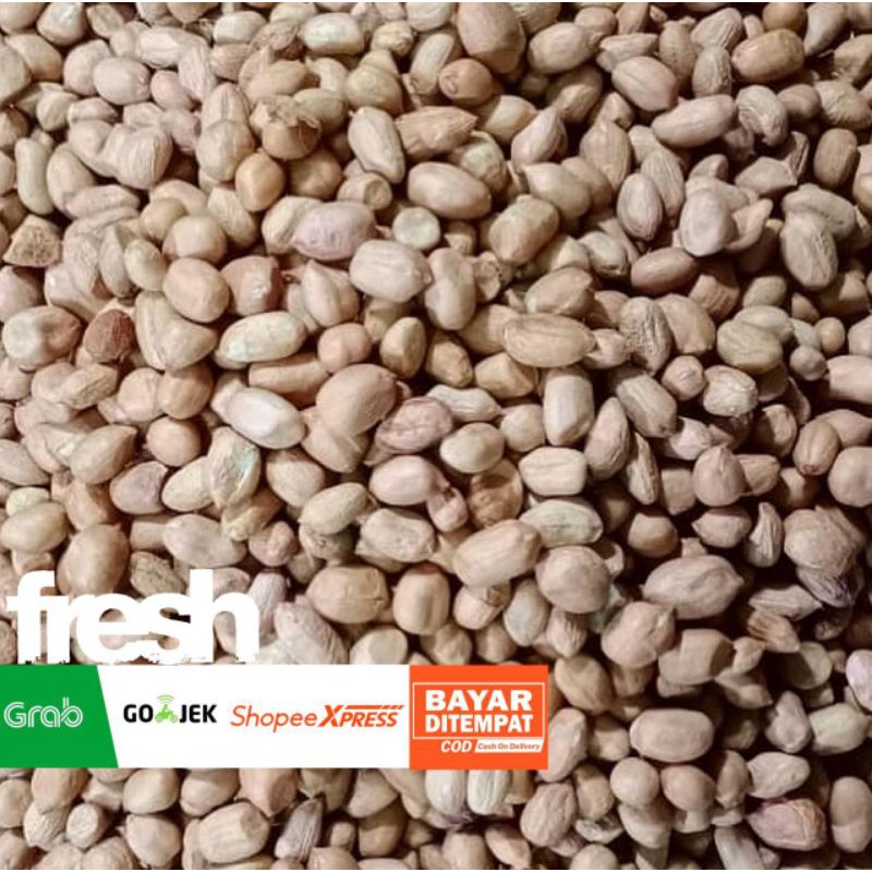 

Kacang Tanah Mentah 100-250gr