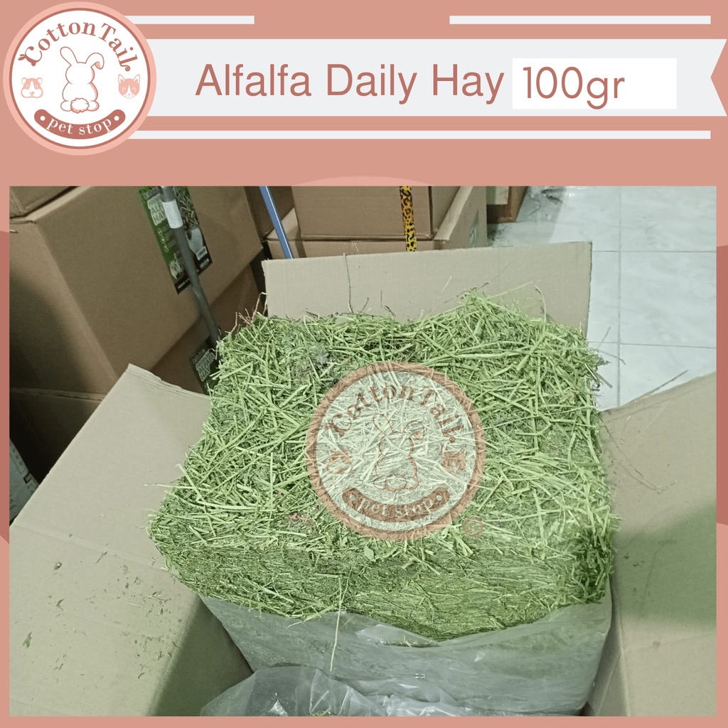 Makanan Kelinci Rumput Alfalfa Daily Hay 100% Organic 100gr