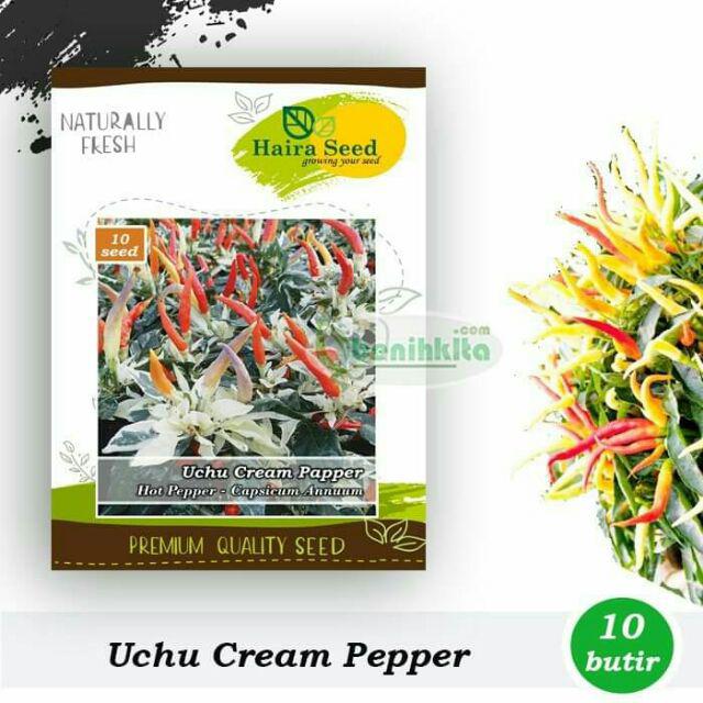 Benih-bibit Cabe Hias Uchu Cream (haira Seed)