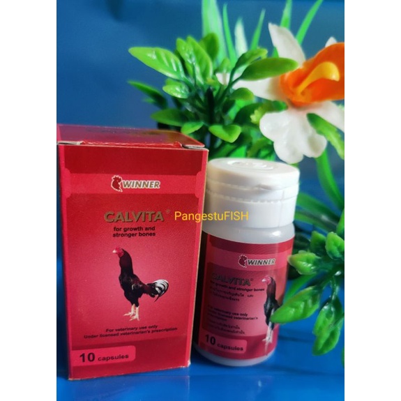 calvita laga-winner calsium ayam laga