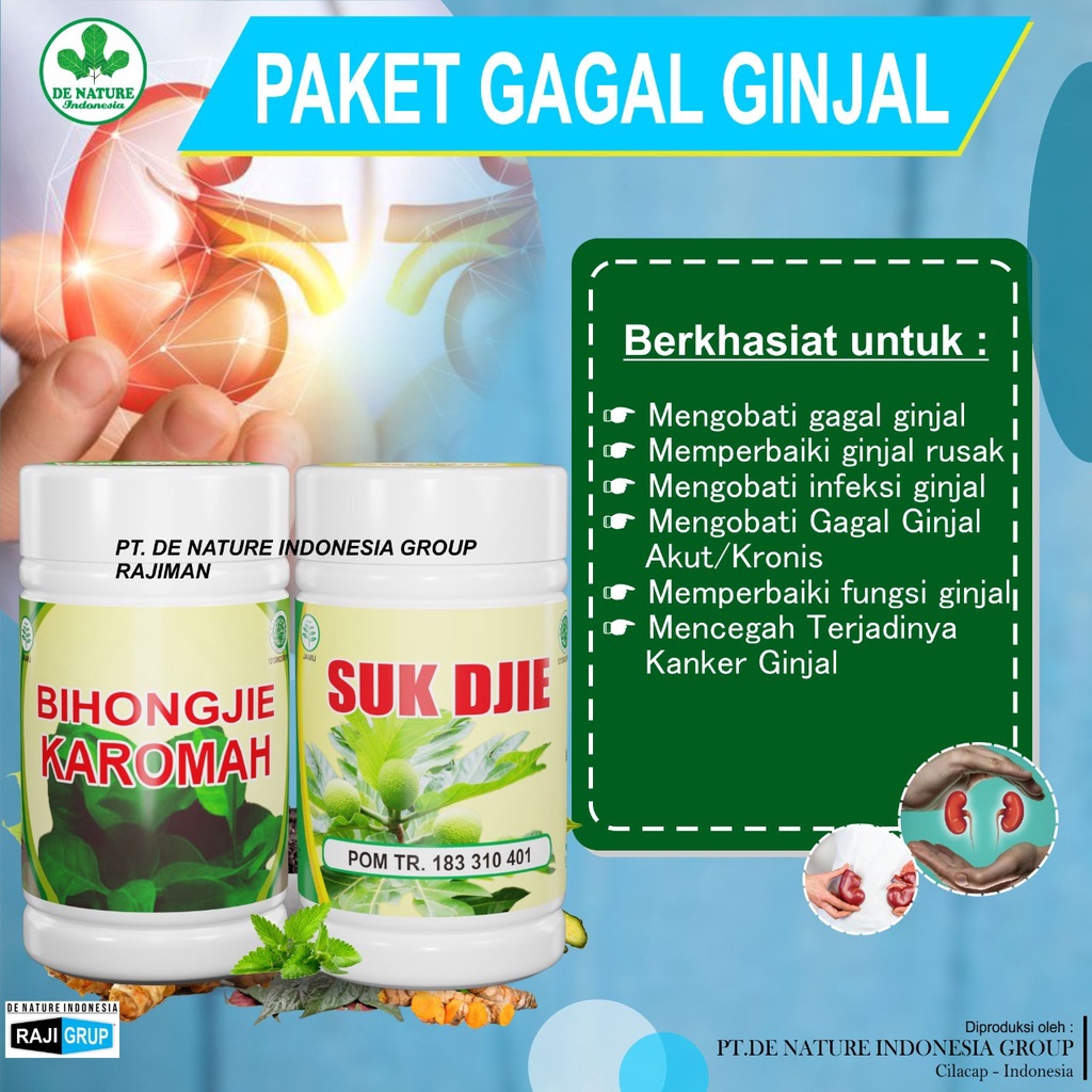 Obat Gagal Ginjal infeksi Ginjal Bocor De Nature