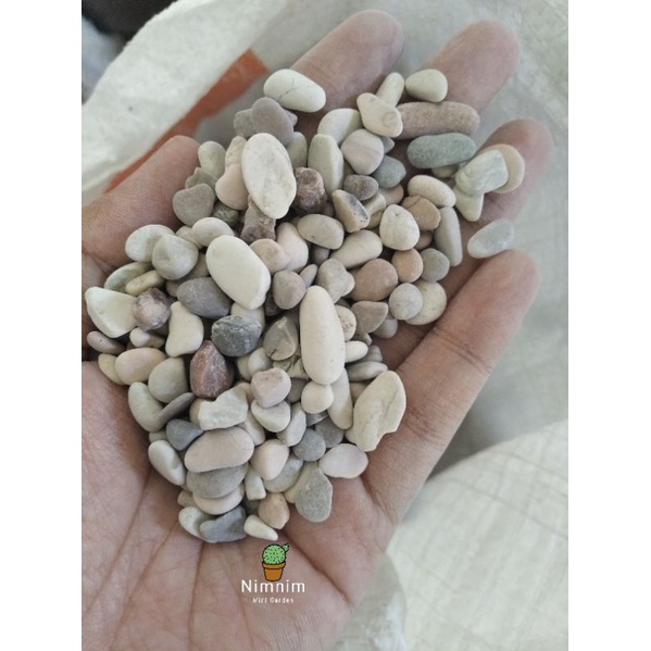 Batu Pancawarna Batu Hias tanaman