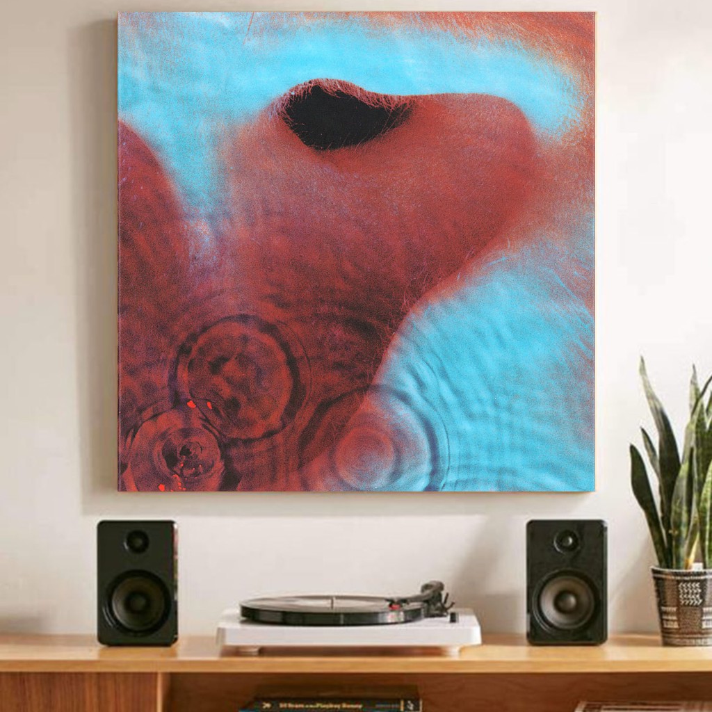 "Pink Floyd, Meddle" Poster Kayu (25x25)