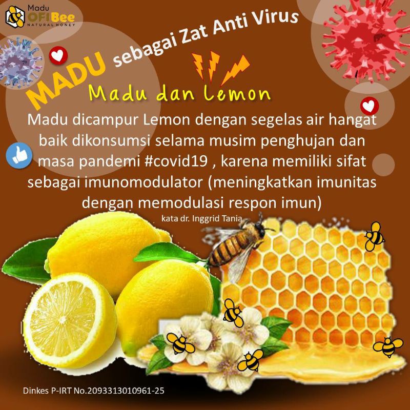 BELI 2 DAPAT 3 Madu Khusus Anak | Madu Kecerdasan dan Penambah Nafsu Makan Anak | Madu Anti Virus