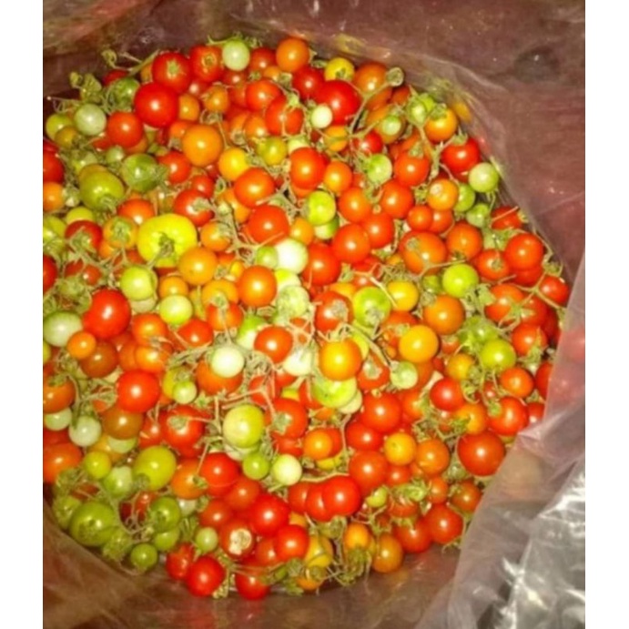 Buah Rampai Sambal Segar khas Lampung 250gr