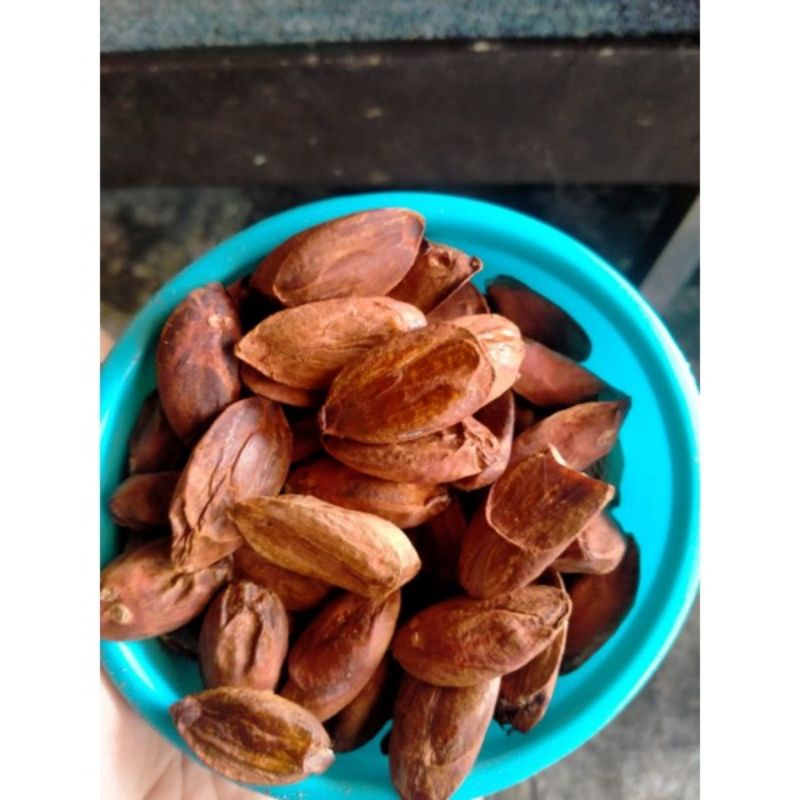 Kacang Kenari / Pili Nut (500 gram)