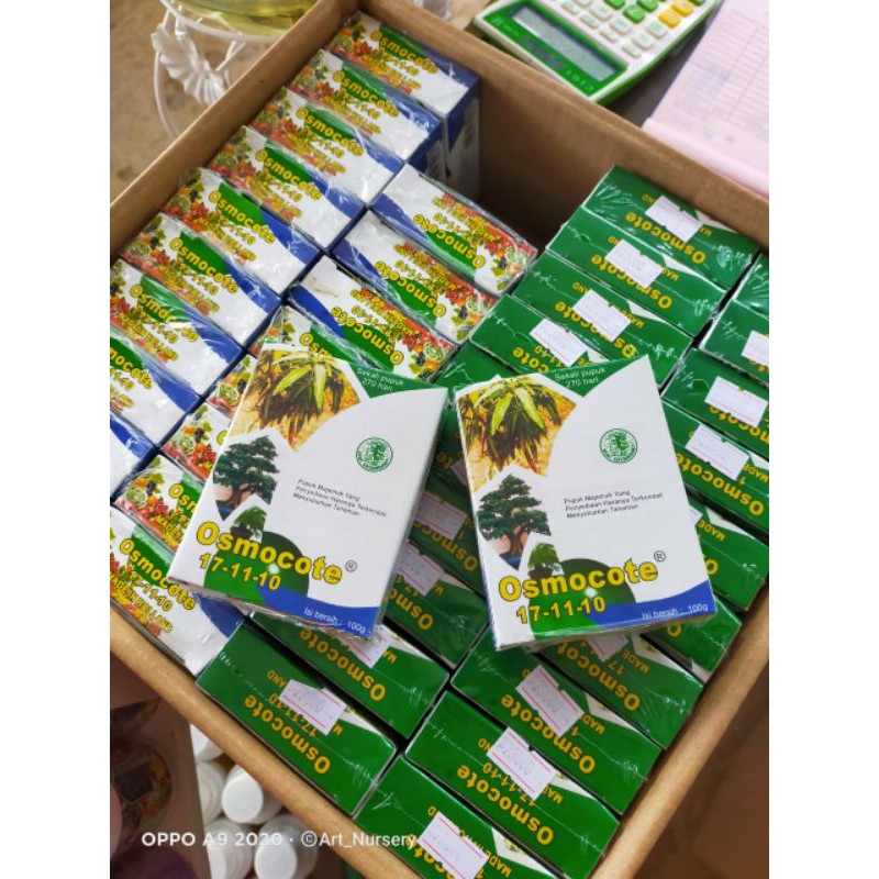 pupuk aglonema osmocot dekastar