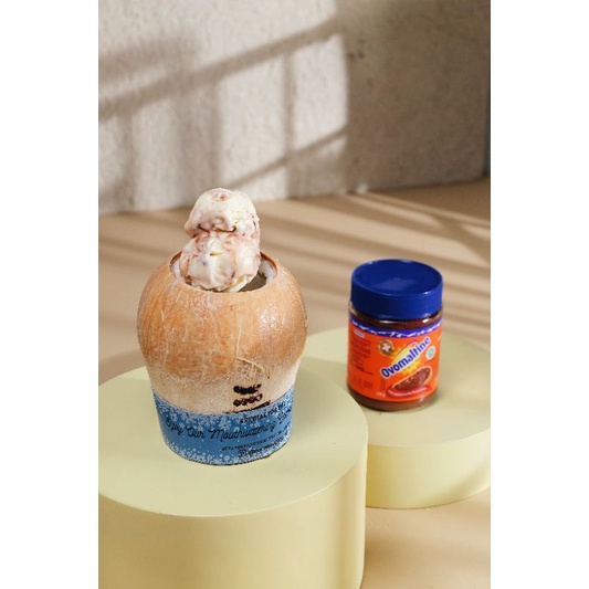 

Ovomaltine Cheesecake Gelato