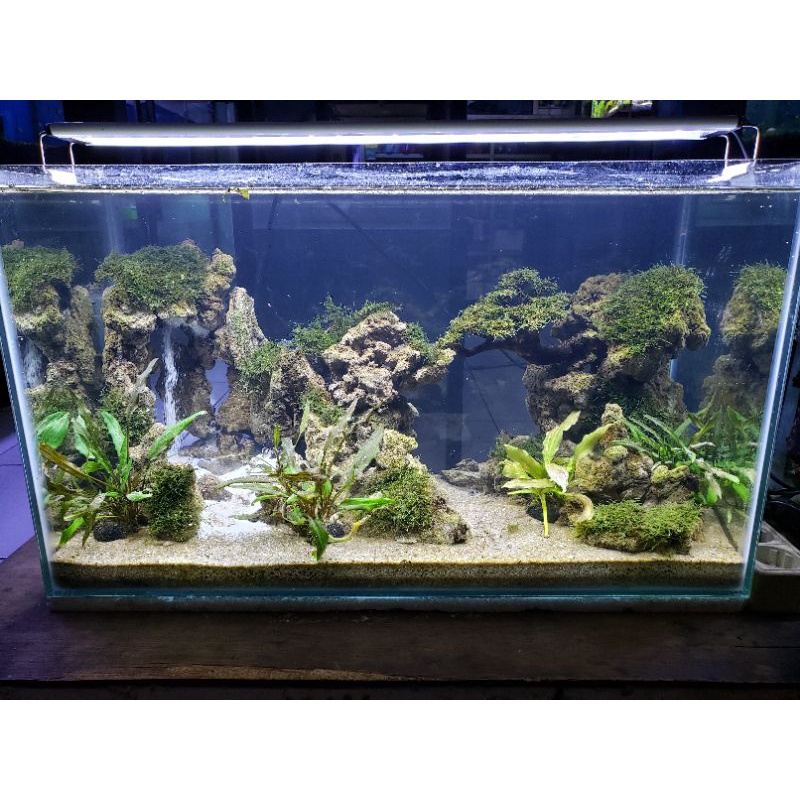 Aquascape waterfall batu pasir